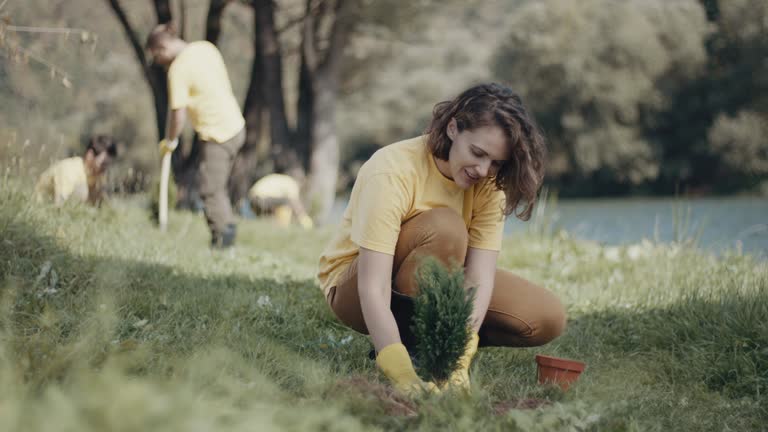 Best Lawn Renovation and Restoration  in Center Point, IA